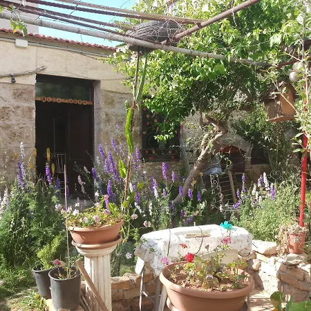 Alojamento de Acomodação e Pequeno-almoço Mystery Garden