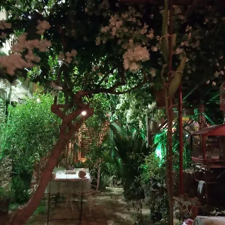 Mystery Garden Alojamento de Acomodação e Pequeno-almoço 3*