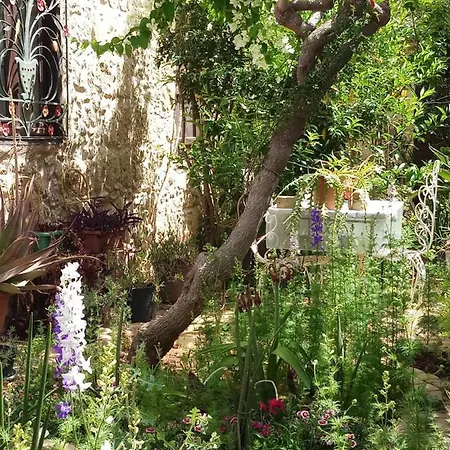 Alojamento de Acomodação e Pequeno-almoço Mystery Garden