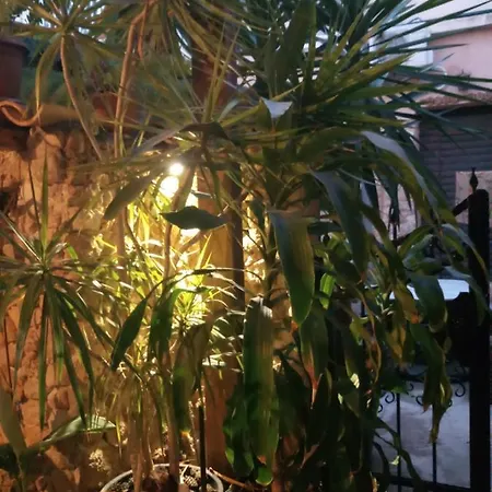 Mystery Garden Alojamento de Acomodação e Pequeno-almoço