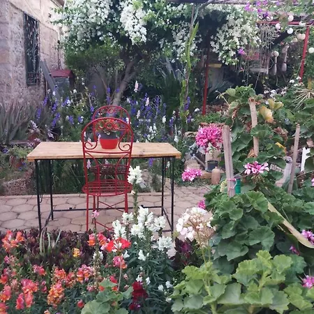 Alojamento de Acomodação e Pequeno-almoço Mystery Garden Famagusta (Northern Cyprus)