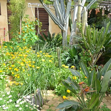 Alojamento de Acomodação e Pequeno-almoço Mystery Garden