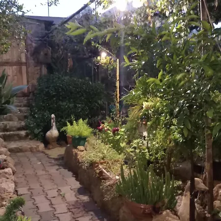 Mystery Garden Famagusta (Northern Cyprus)