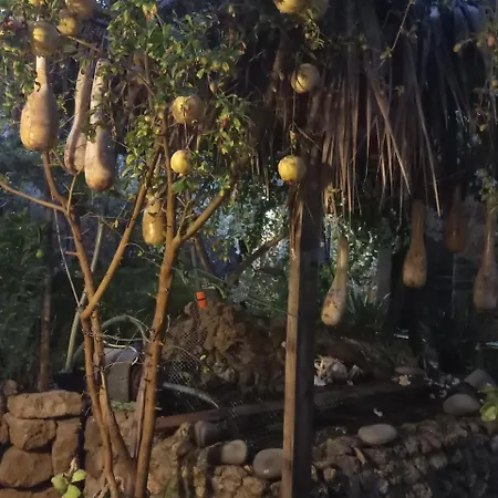 Mystery Garden