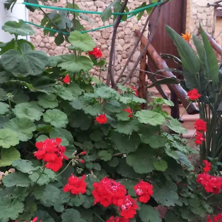 Mystery Garden Famagusta (Northern Cyprus)