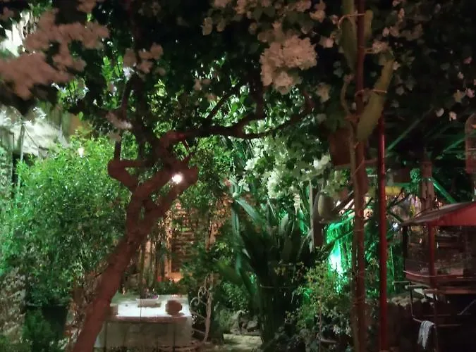 Mystery Garden Bed & Breakfast 3*