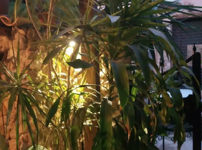 Mystery Garden Bed & Breakfast