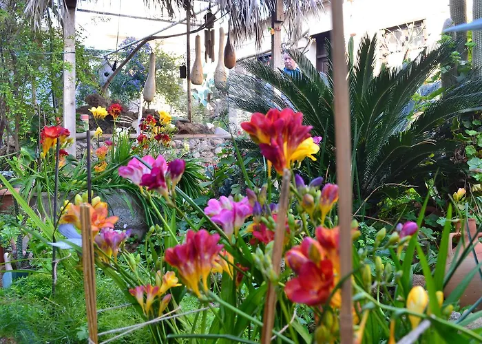 Mystery Garden Famagusta (Northern Cyprus)