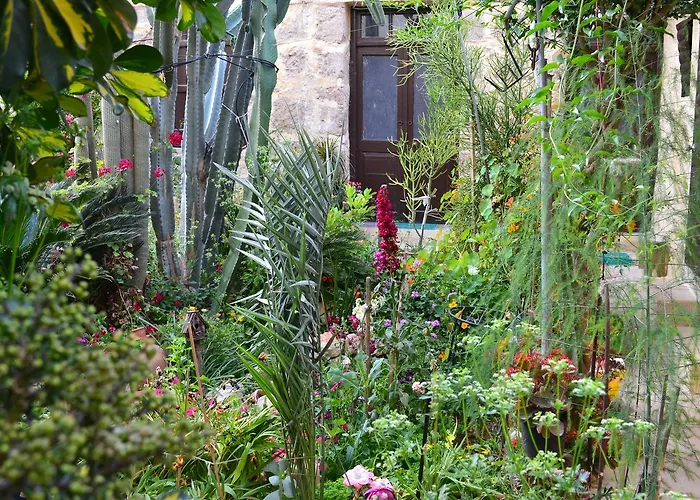 Mystery Garden Bed & Breakfast