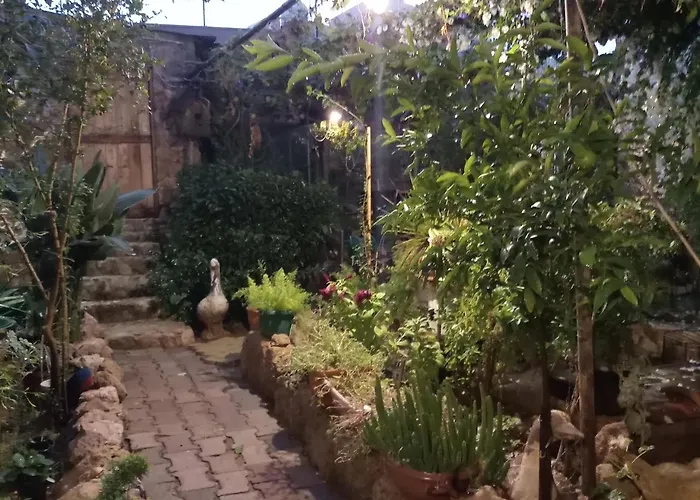 Mystery Garden Famagusta (Northern Cyprus)