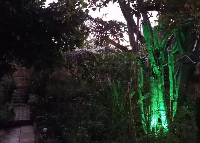 Mystery Garden Bed & Breakfast