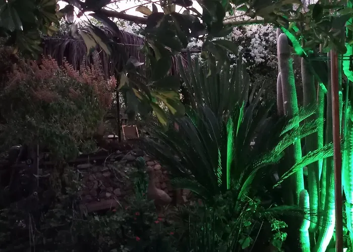 Bed & Breakfast Mystery Garden