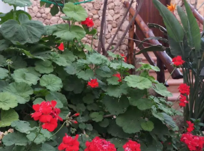 Mystery Garden Famagusta (Northern Cyprus)