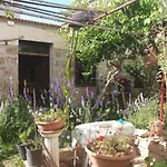 Bed and Breakfast Mystery Garden