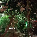 Mystery Garden Bed and Breakfast 3*