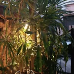 Mystery Garden Bed and Breakfast