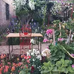 Bed and Breakfast Mystery Garden Αμμόχωστος