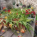 Bed and Breakfast Mystery Garden