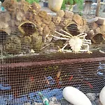 Bed and Breakfast Mystery Garden Αμμόχωστος