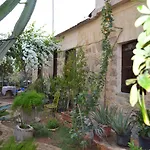 Mystery Garden Αμμόχωστος