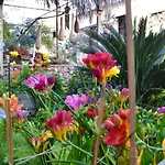 Mystery Garden Αμμόχωστος