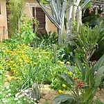Bed and Breakfast Mystery Garden