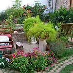 Bed and Breakfast Mystery Garden