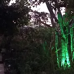 Mystery Garden Bed and Breakfast