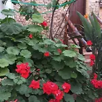 Mystery Garden Αμμόχωστος