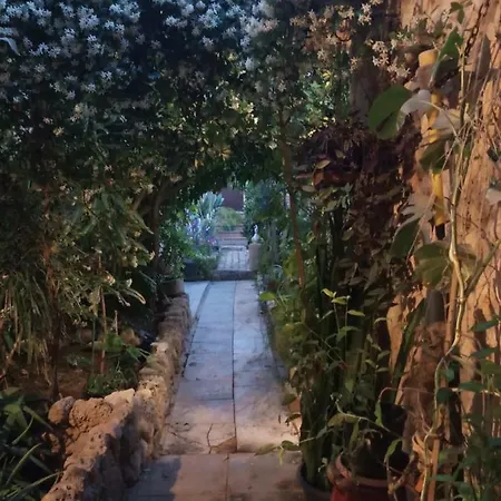 Mystery Garden 3* Famagusta (Northern Cyprus)