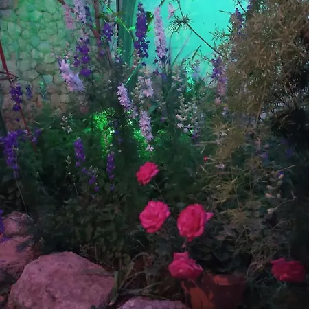 Mystery Garden Bed & Breakfast