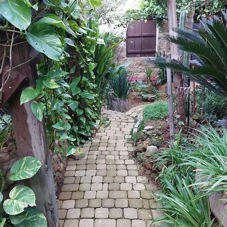 Bed & Breakfast Mystery Garden