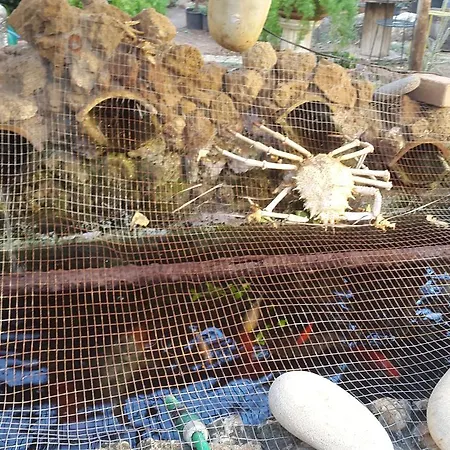 Bed & Breakfast Mystery Garden Famagusta (Northern Cyprus)