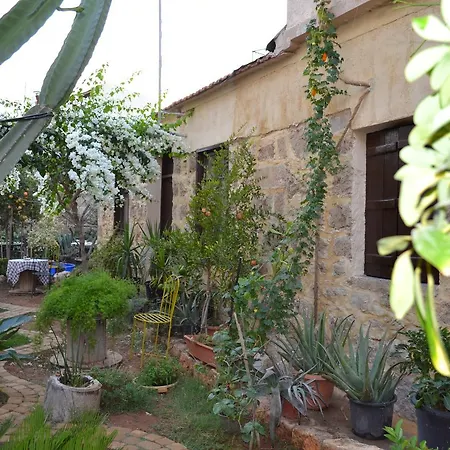 Mystery Garden Famagusta (Northern Cyprus)