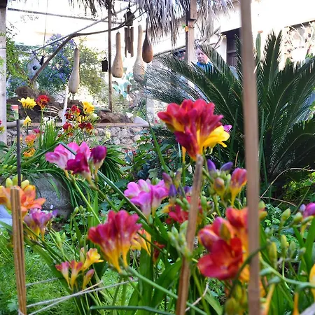 Mystery Garden Famagusta (Northern Cyprus)