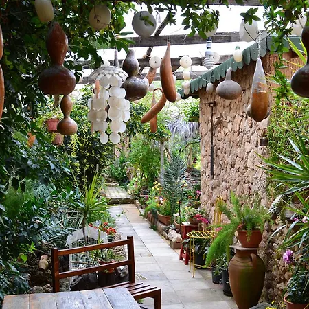 Bed & Breakfast Mystery Garden