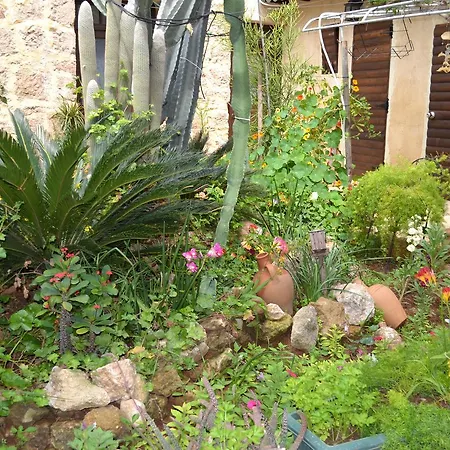 Mystery Garden 3* Famagusta (Northern Cyprus)