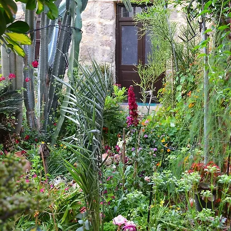 Mystery Garden Bed & Breakfast