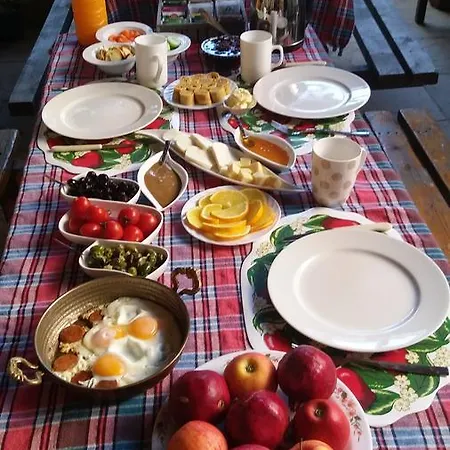 Mystery Garden Bed and breakfast