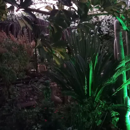 Bed & Breakfast Mystery Garden