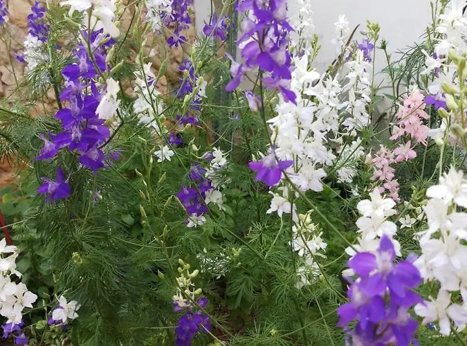 Panzió Mystery Garden 3*