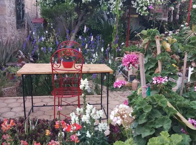 Panzió Mystery Garden Famaguszta