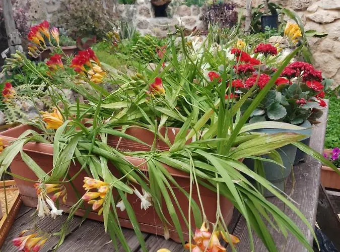 Panzió Mystery Garden