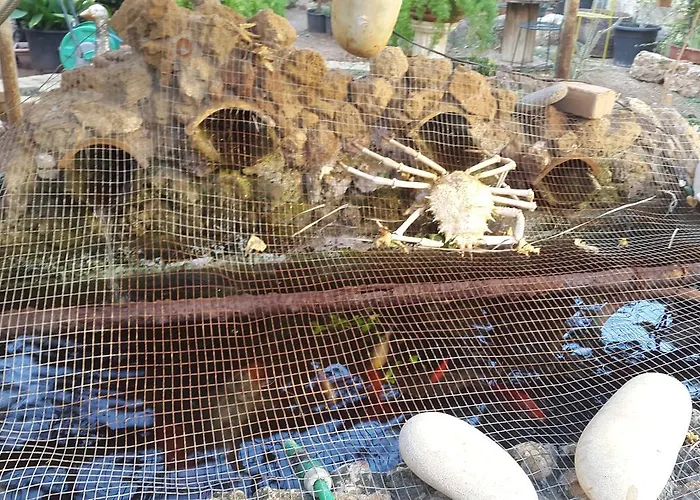 Panzió Mystery Garden Famaguszta