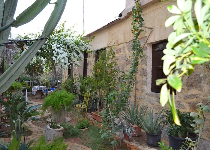 Mystery Garden Famaguszta